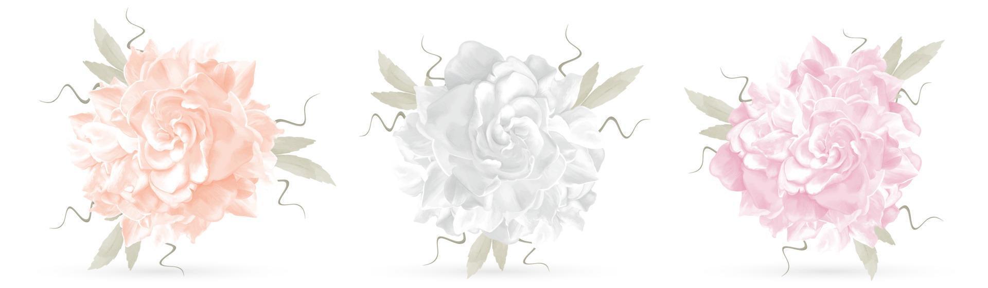 Bright flower bouquet blooming on white background vector