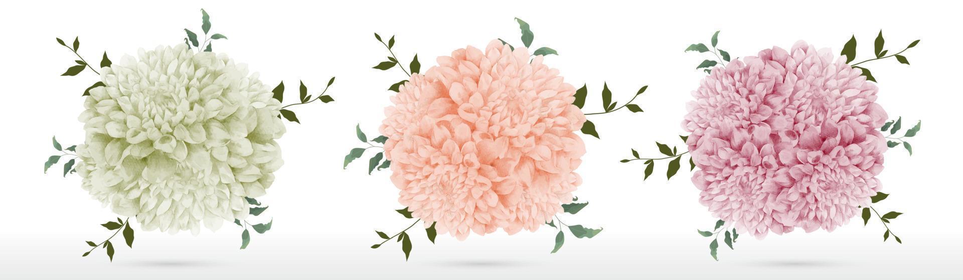 Chrysanthemum bouquet on white background vector