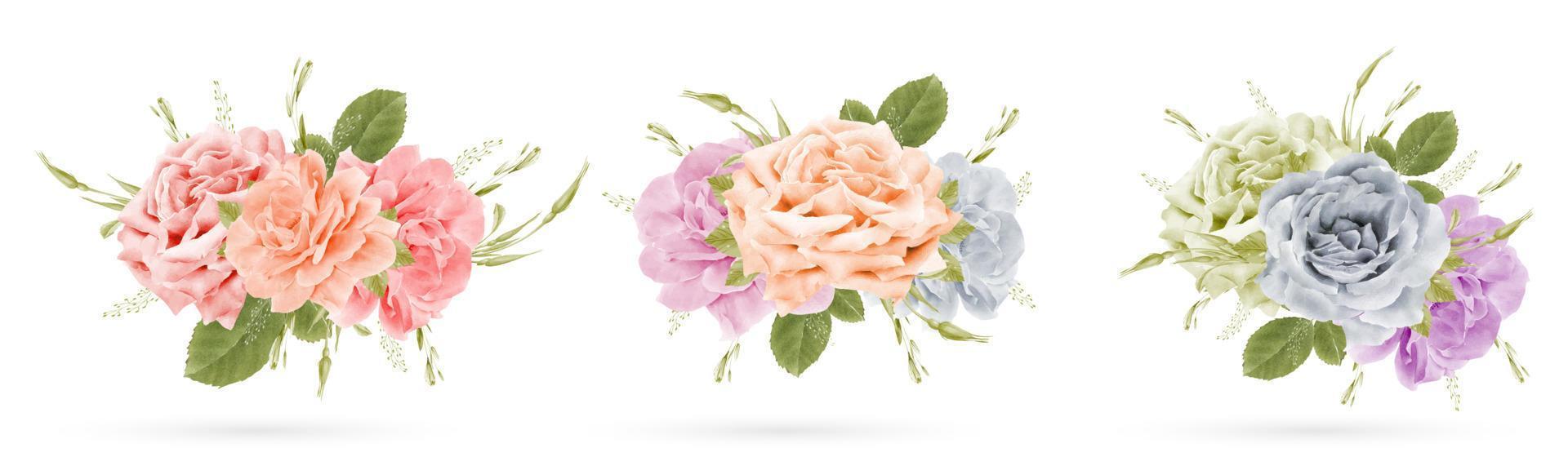 Watercolor rose bouquet isolated on white background vector