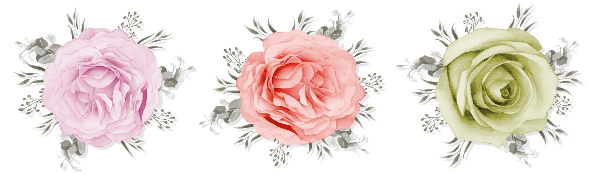 Rose bouquet isolated on white background vector