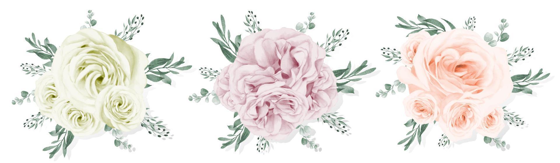 Rose bouquet isolated on white background vector