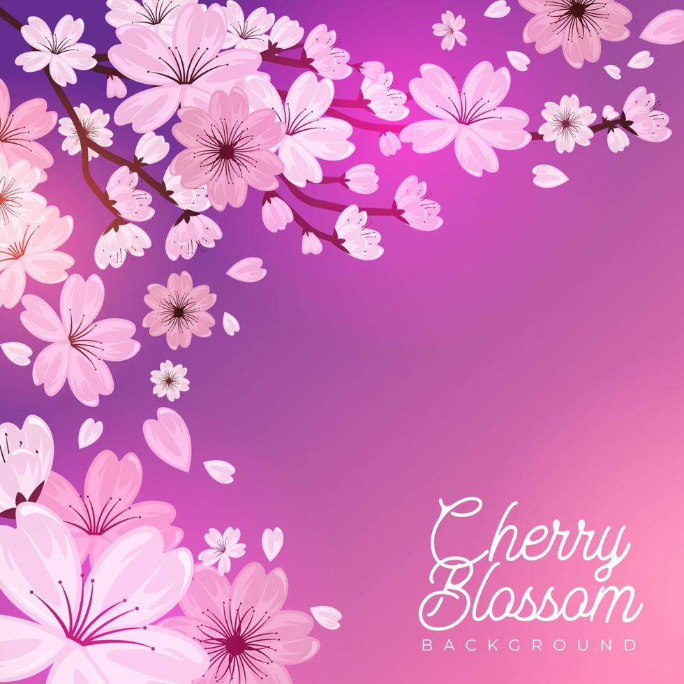 Cherry Blossom Floral Frame Background vector