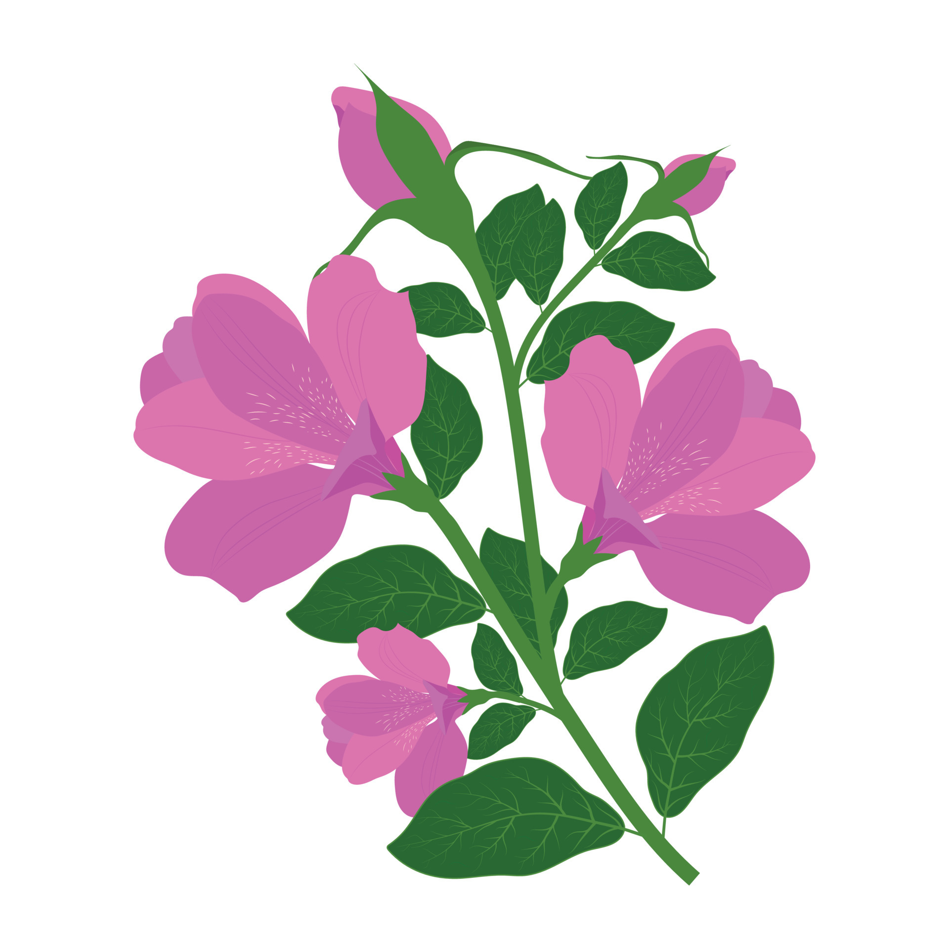 Flower bouquet. Floral frame. Flourish greeting card. Blooming flowers isolated on white background 5424312 Vector Art at Vecteezy Flower bouquet. Floral frame. Flourish greeting card. Blooming flowers isolated on white background 5424312 Vector Art at Vecteezy
