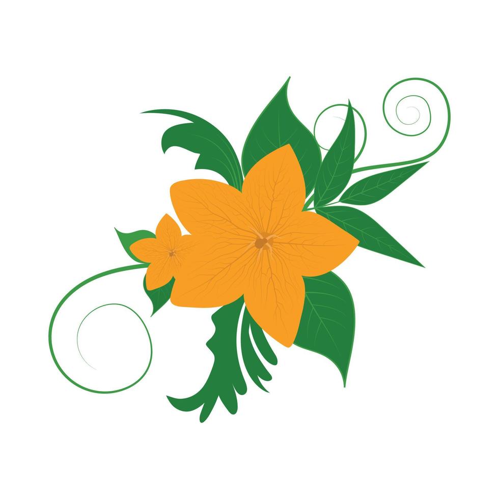 flores de calabaza con fondo blanco vector