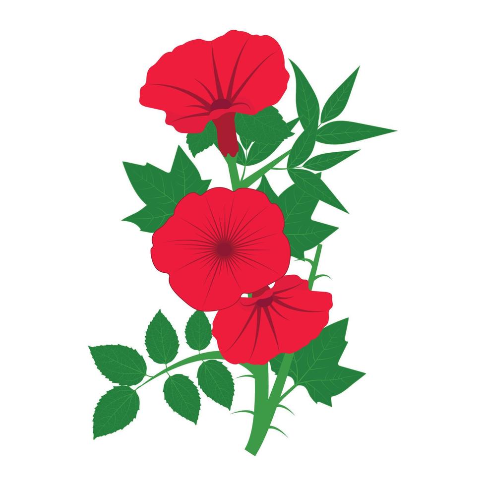 Wild rose flowers on isolated white background.Vector illustration hand drawn doodle. vector