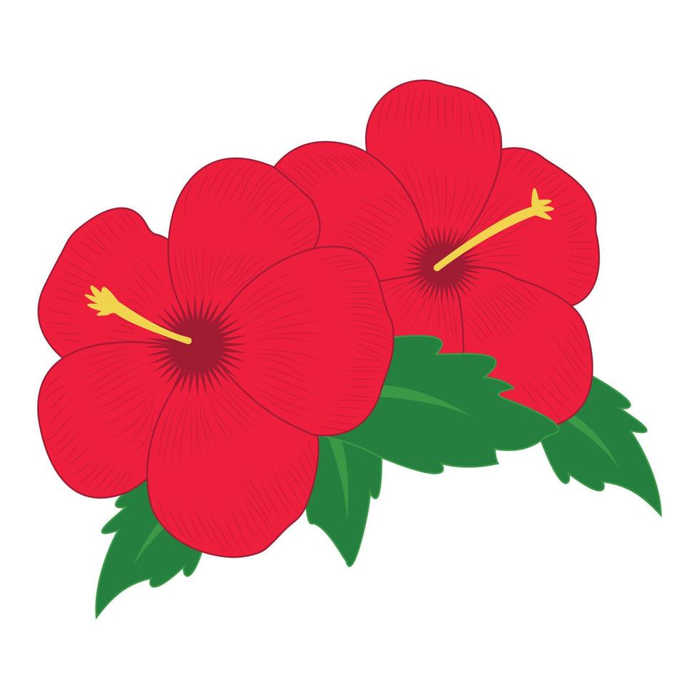 Red hibiscus tropical flower with leaves. Isolated on white background. Vector illustration.