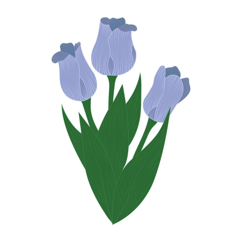 Elegant spring flower with stem and leaf isolated on white background. Colorful flat vector illustration