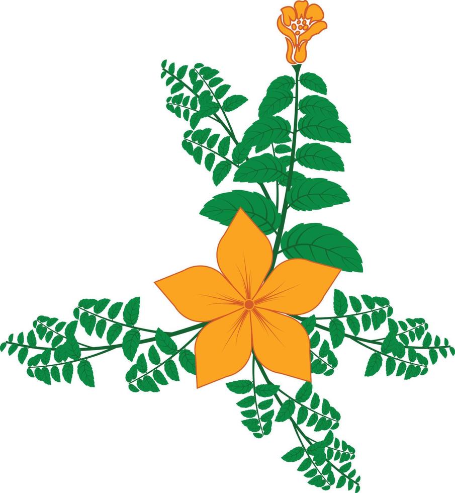 Beautiful yellow flower with green leaf, isolated on white background with clipping path. vector