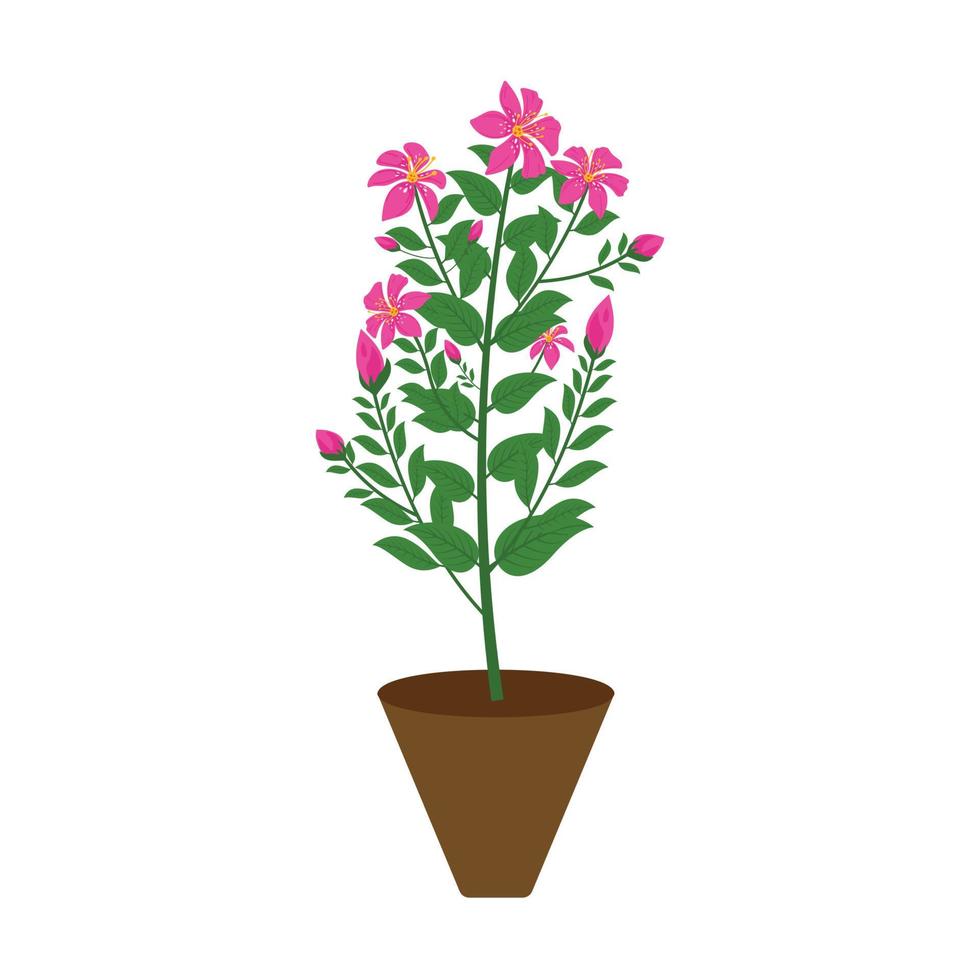 Various potted houseplants. Garden potted plants. Vector potted plants. Flowerpot bloom
