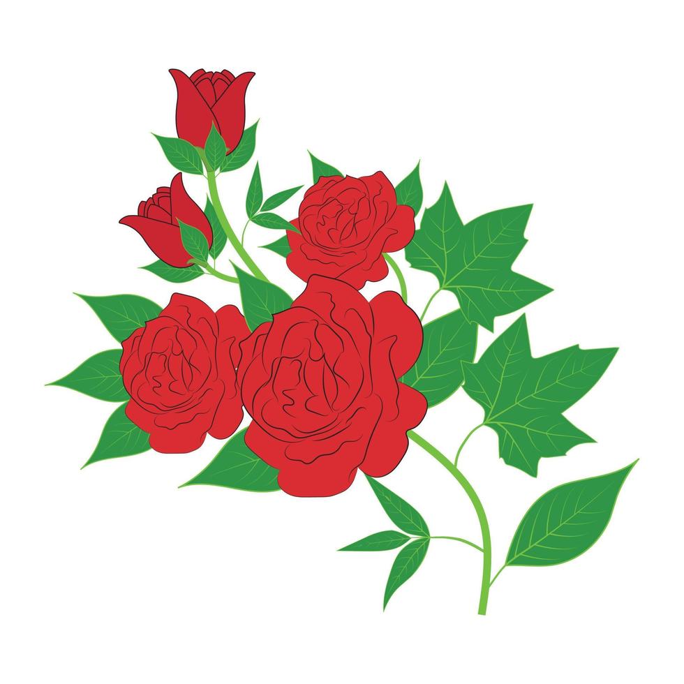 rosa roja y diseño de hojas con fondo blanco. ilustración vectorial vector