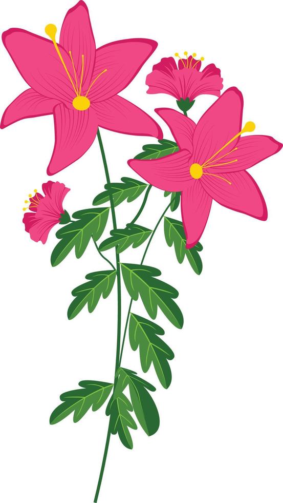pink flowers and  white background vector