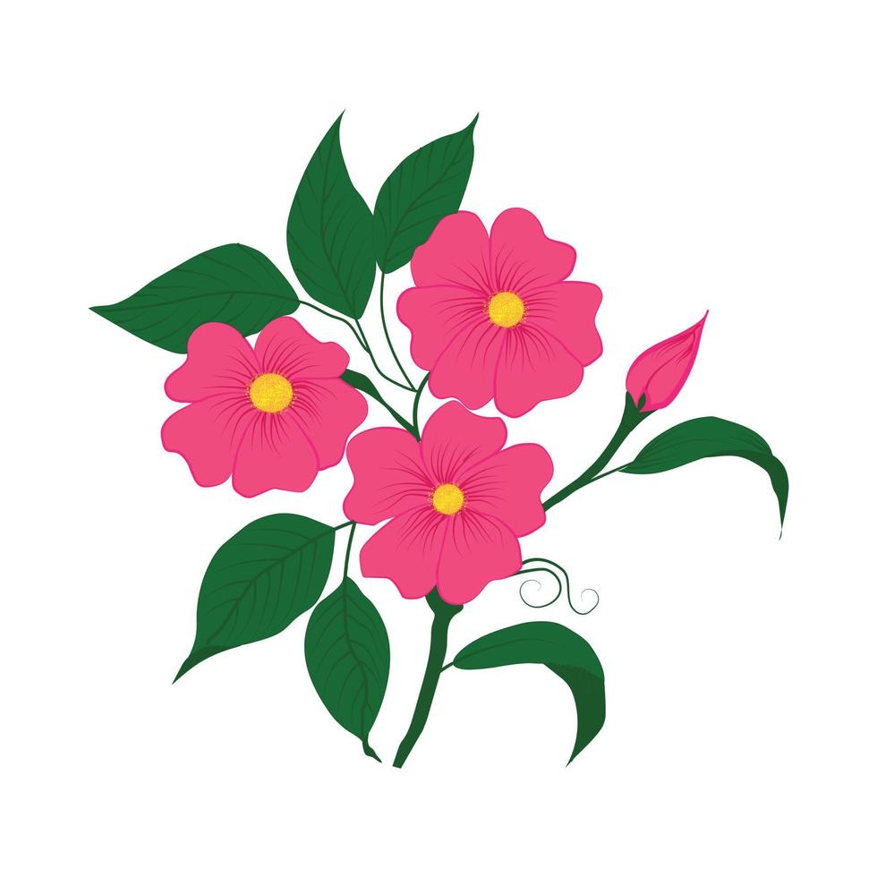 pink flowers on white background, vector illustration