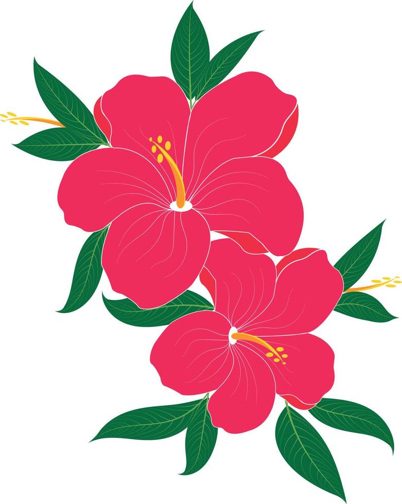 hermosa foto de flores de hibisco y hojas tropicales. elementos individuales aislados en blanco. motivos florales. vector