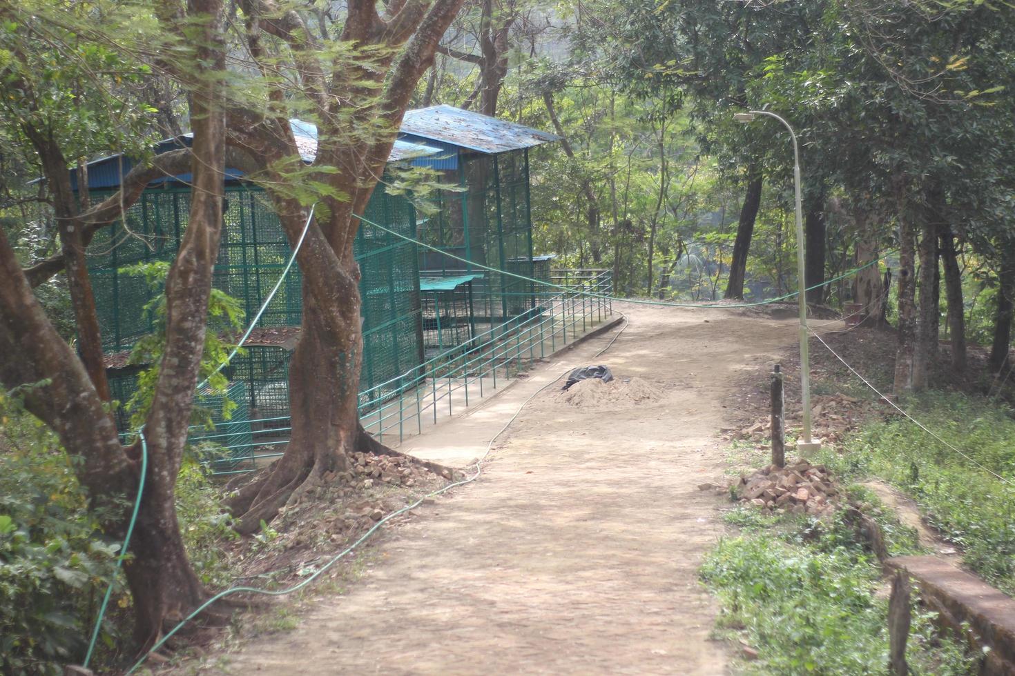 The beautiful and natural path in the forest. photo