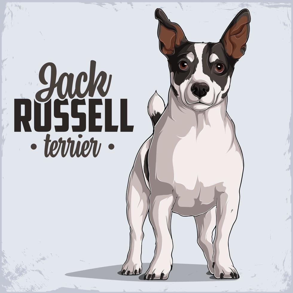 Potente raza perro jack russell terrier de pie en toda su aislado sobre fondo blanco. Vector en Vecteezy