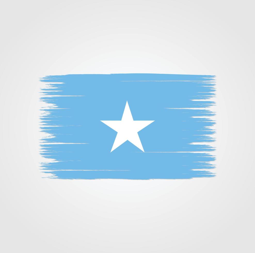 Flag of Somalia with brush style vector