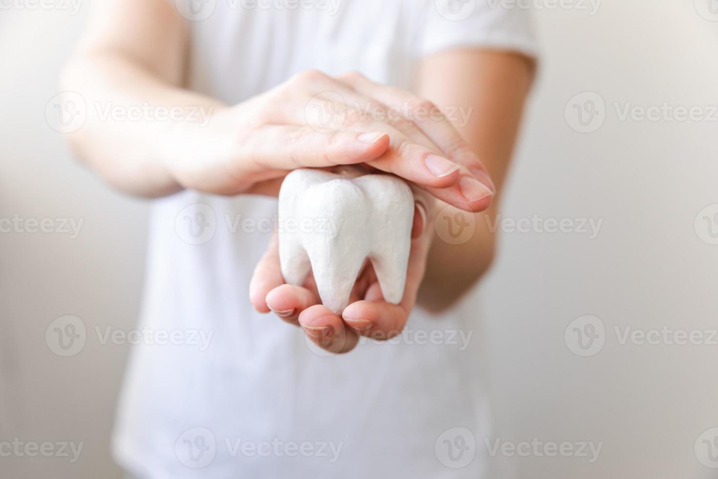 Health dental care concept. Woman hand holding white healthy tooth model isolated on white background. Teeth whitening, dental oral hygiene, teeth restoration, dentist day. photo