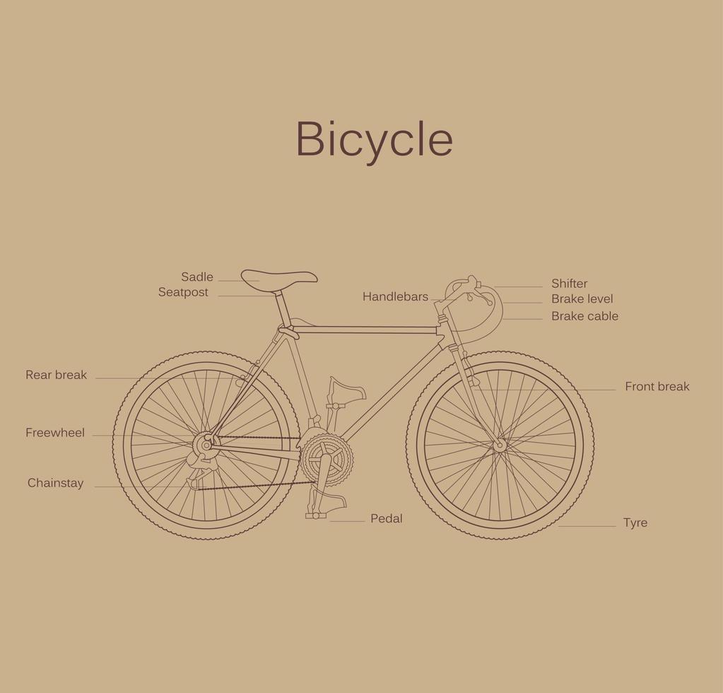 Card of sport bicycle vector