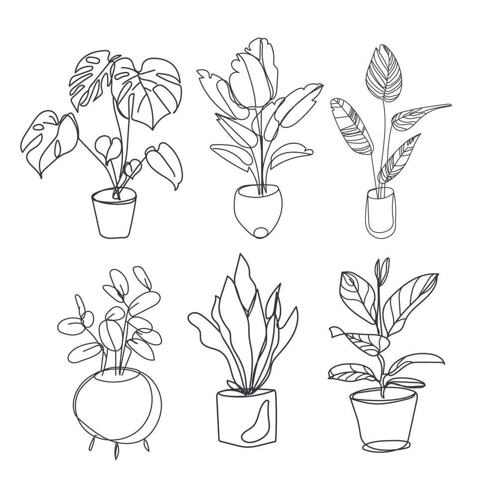 Houseplants.Vector set of outline plants in pots. Indoor exotic flowers