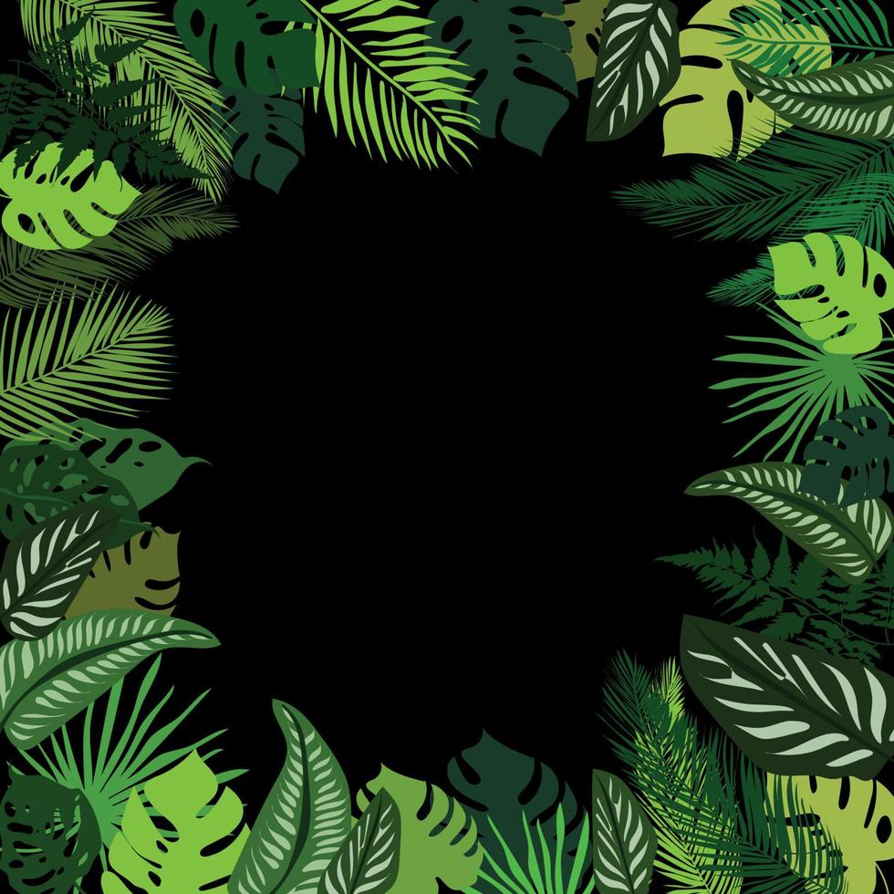 Tropical leaves summer frame, tropical palm leaves background wallpaper, tropical leaves on black background. Illustration for different design.Vector graphics vector