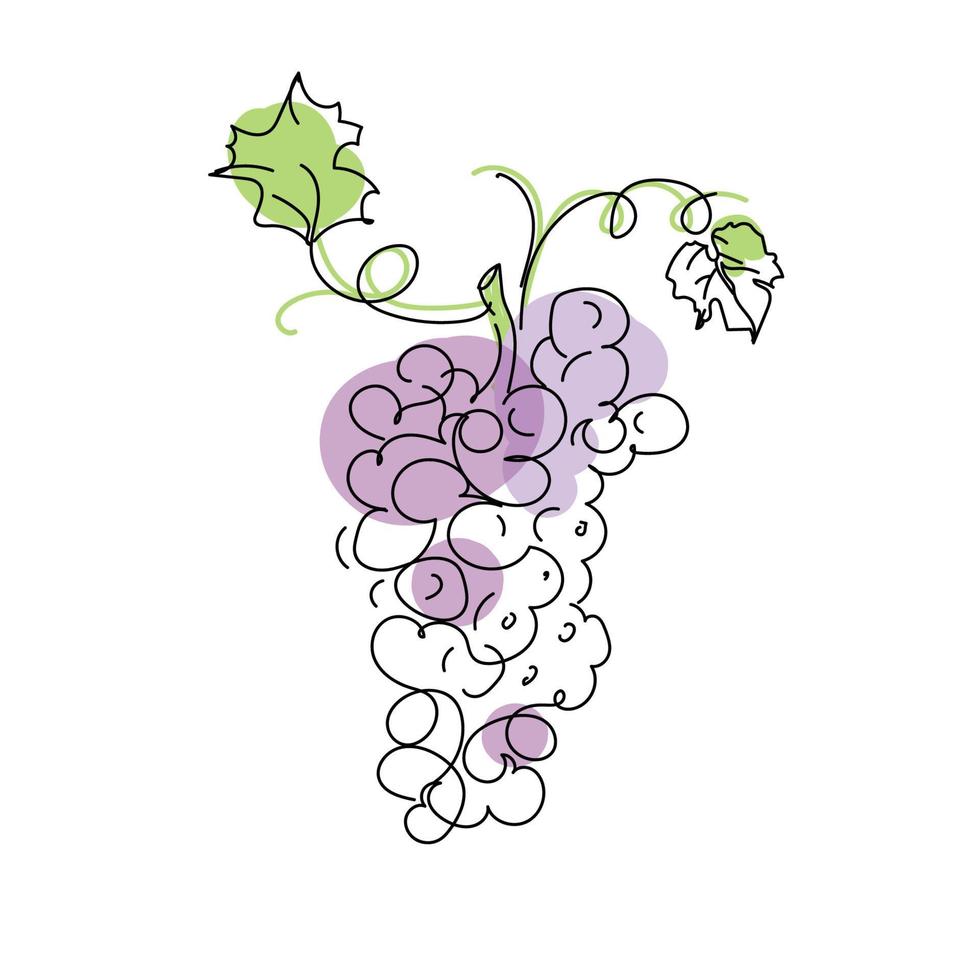 Line art bunch of grapes in doodle style isolated on white background. Artistic sample sketch.Fresh healthy food. Line drawing style. Natural abstract art. Sweet food vector illustration
