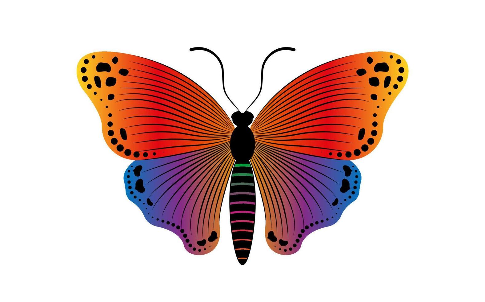 decorativo como un eslogan de mariposa con una colorida ilustración de plantilla de logotipo de mariposa. diseño vectorial para estampados de moda, carteles y tarjetas, aislado en fondo blanco vector