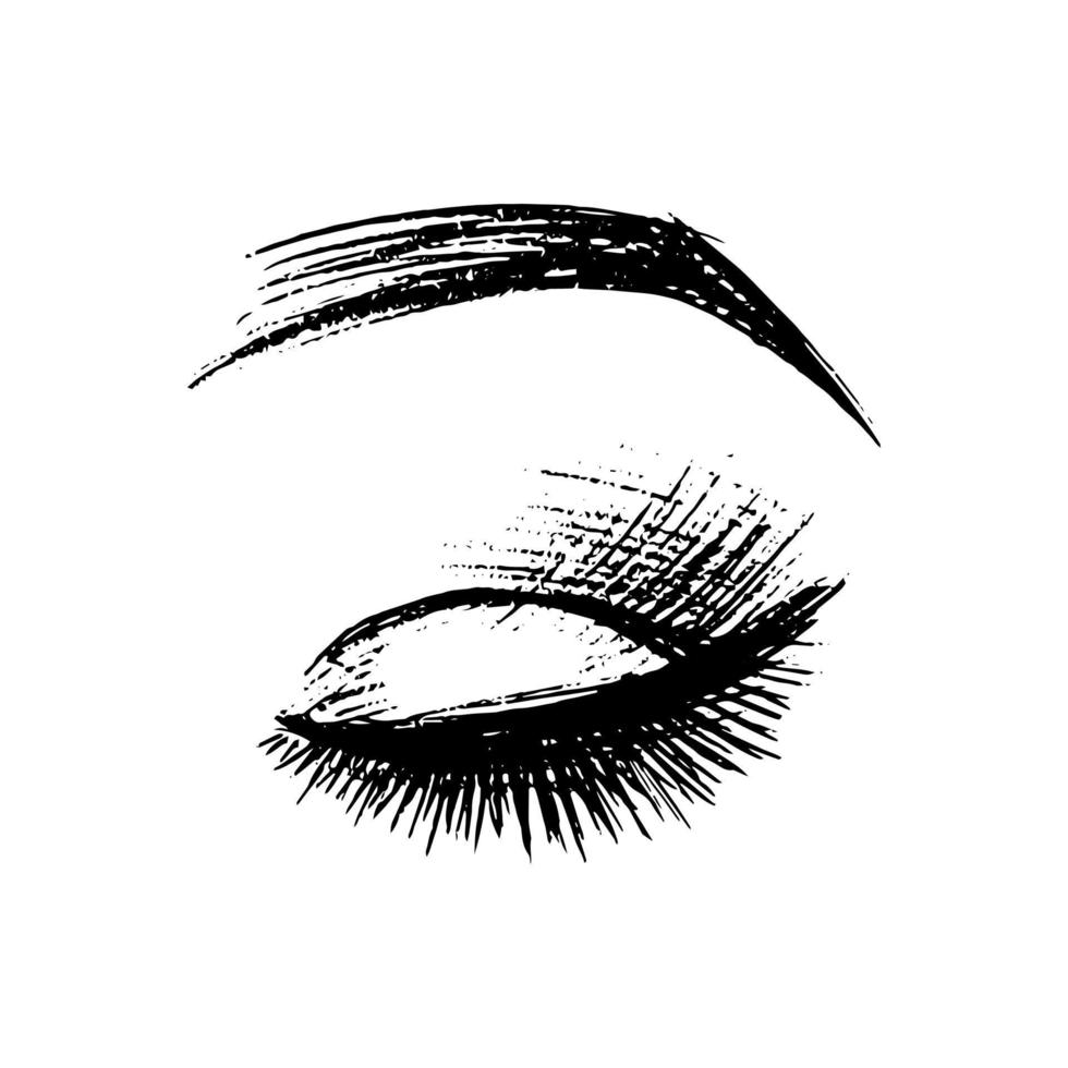 eyebrows eyelashes - sketch with strokes. beauty saloon. makeup - vector illustration in flat style. eye