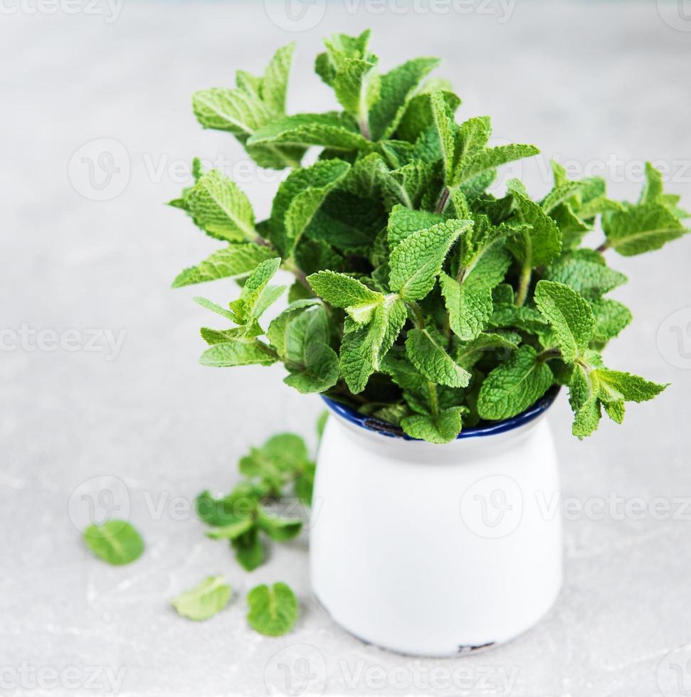 Fresh mint in a vase photo