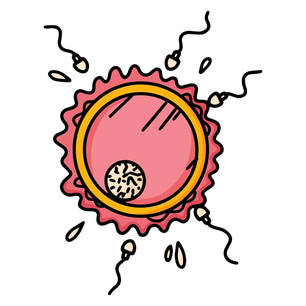 óvulo con esperma, embarazo y fertilización, icono rosa aislado en estilo  de dibujos animados. ovulación y concepción. 5428123 Vector en Vecteezy