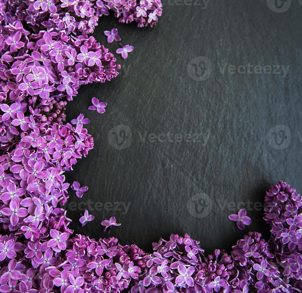 Lilac flowers as a frame photo