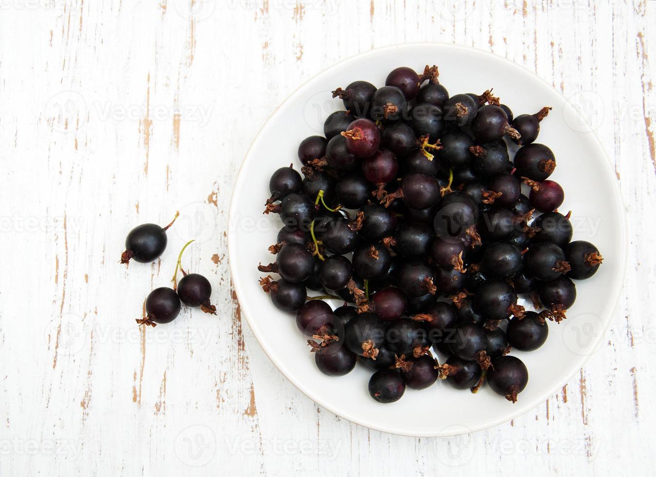 plate with black currant photo
