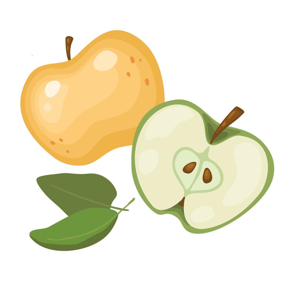 set of fresh whole, half, sliced apple slices isolated on a white background. Organic fruits. Cartoon style. Vector illustration for any design