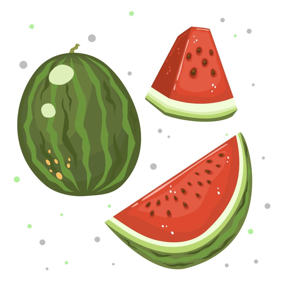 Watermelon and juicy slices of watermelon vector illustration in flat style, isolated on white for any design