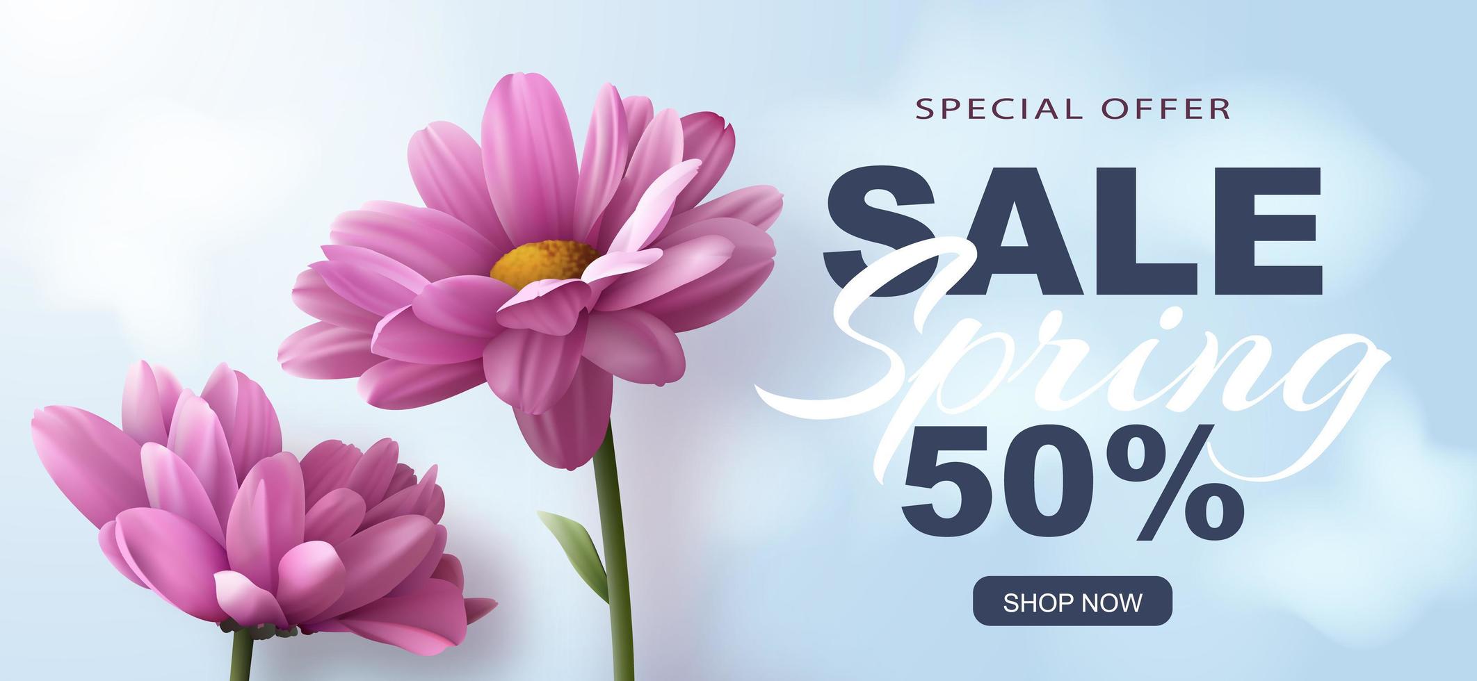 oferta especial banner de venta de primavera con dos flores de crisantemo rosa realistas sobre un fondo azul y decoración de texto de descuento publicitario. ilustración vectorial vector