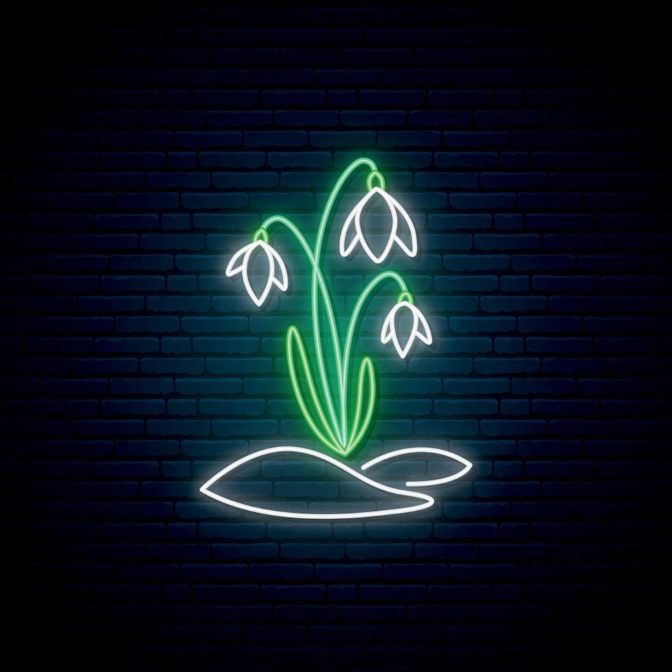 Snowdrops flowers neon sign. White flowers with green stems on dark brick wall background. vector