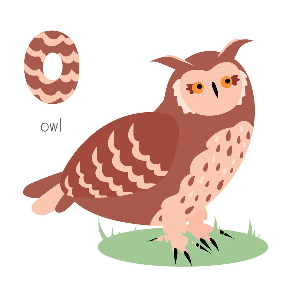 Animals alphabet. O for owl vector