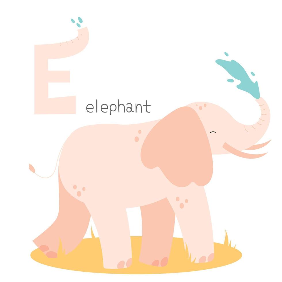 e para elefante vector