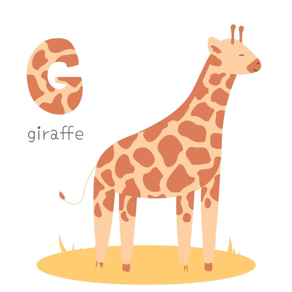 alfabeto de animales. g de jirafa vector