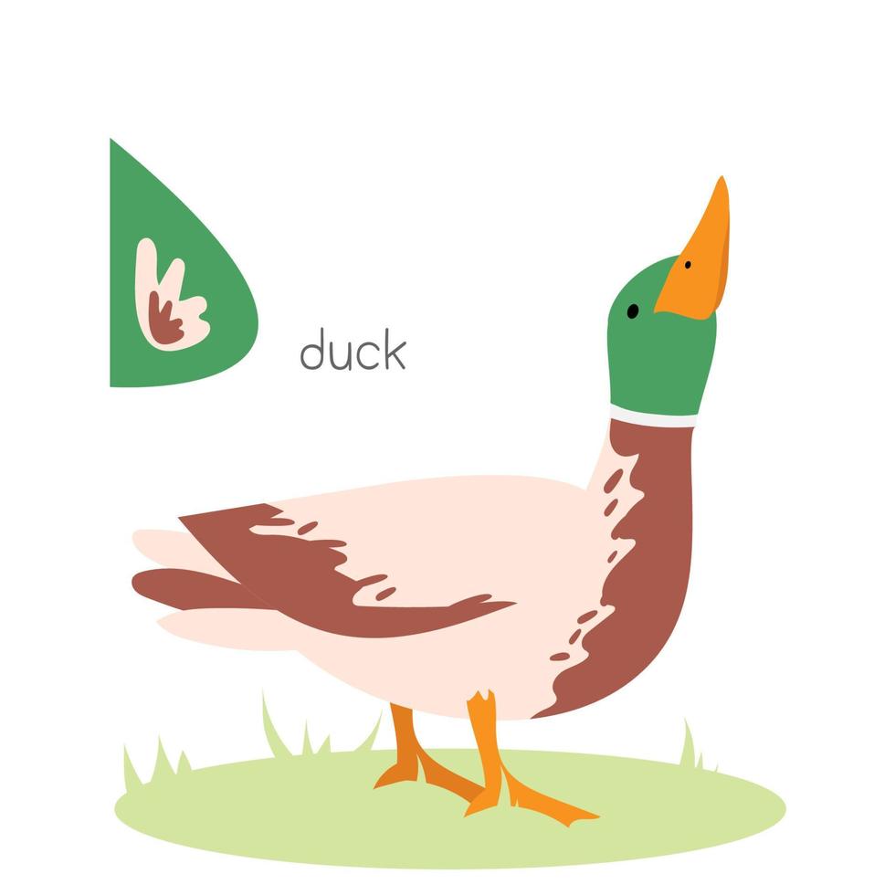 Animals alphabet. D for duck. vector