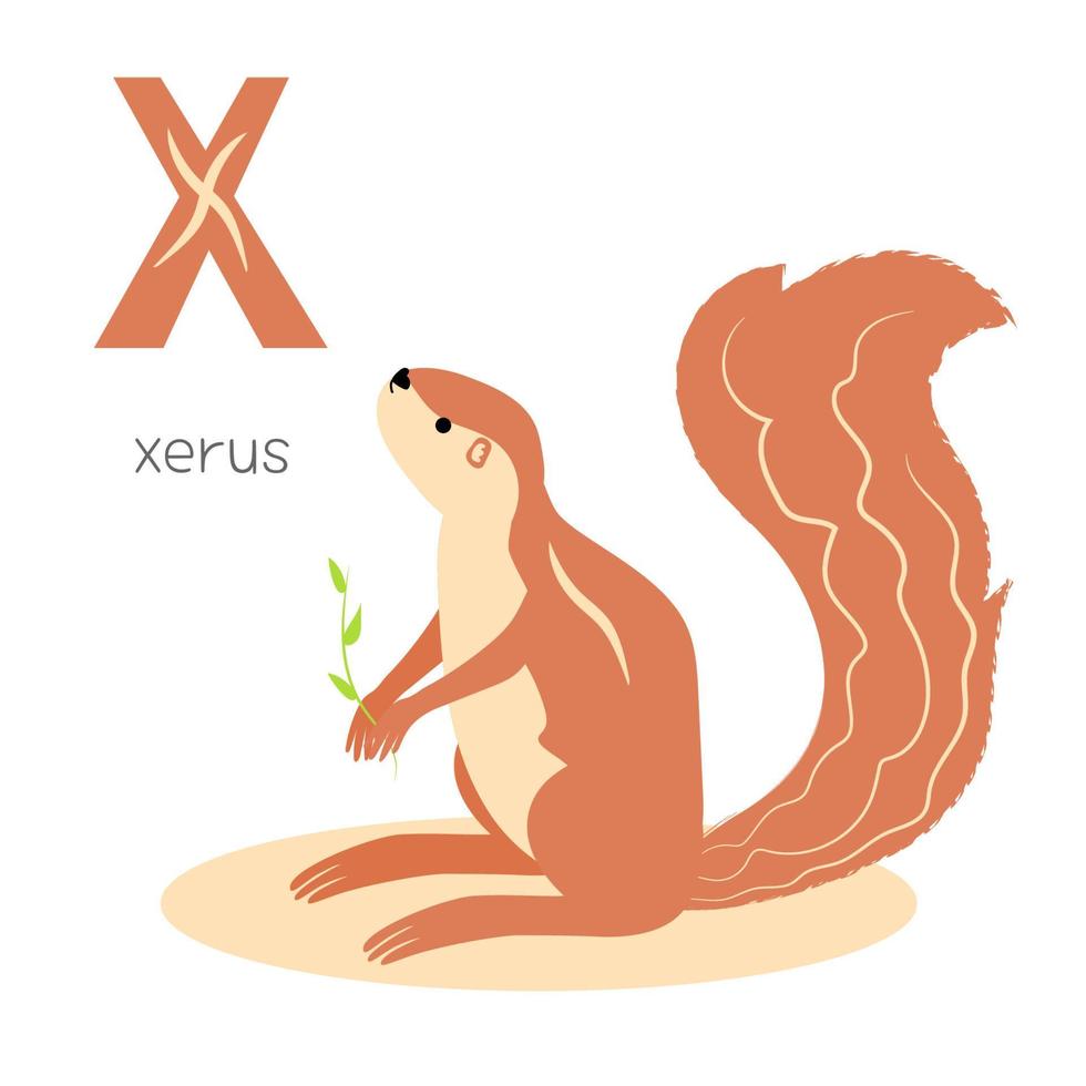 Animals alphabet. X for xerus 5430231 Vector Art at Vecteezy Animals alphabet. X for xerus 5430231 Vector Art at Vecteezy