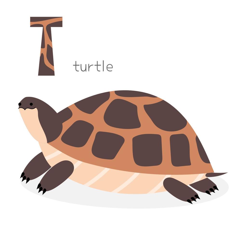 alfabeto de animales. t de tortuga vector