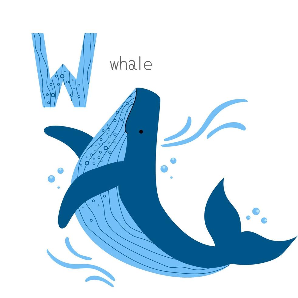 Animals alphabet. W for whale vector