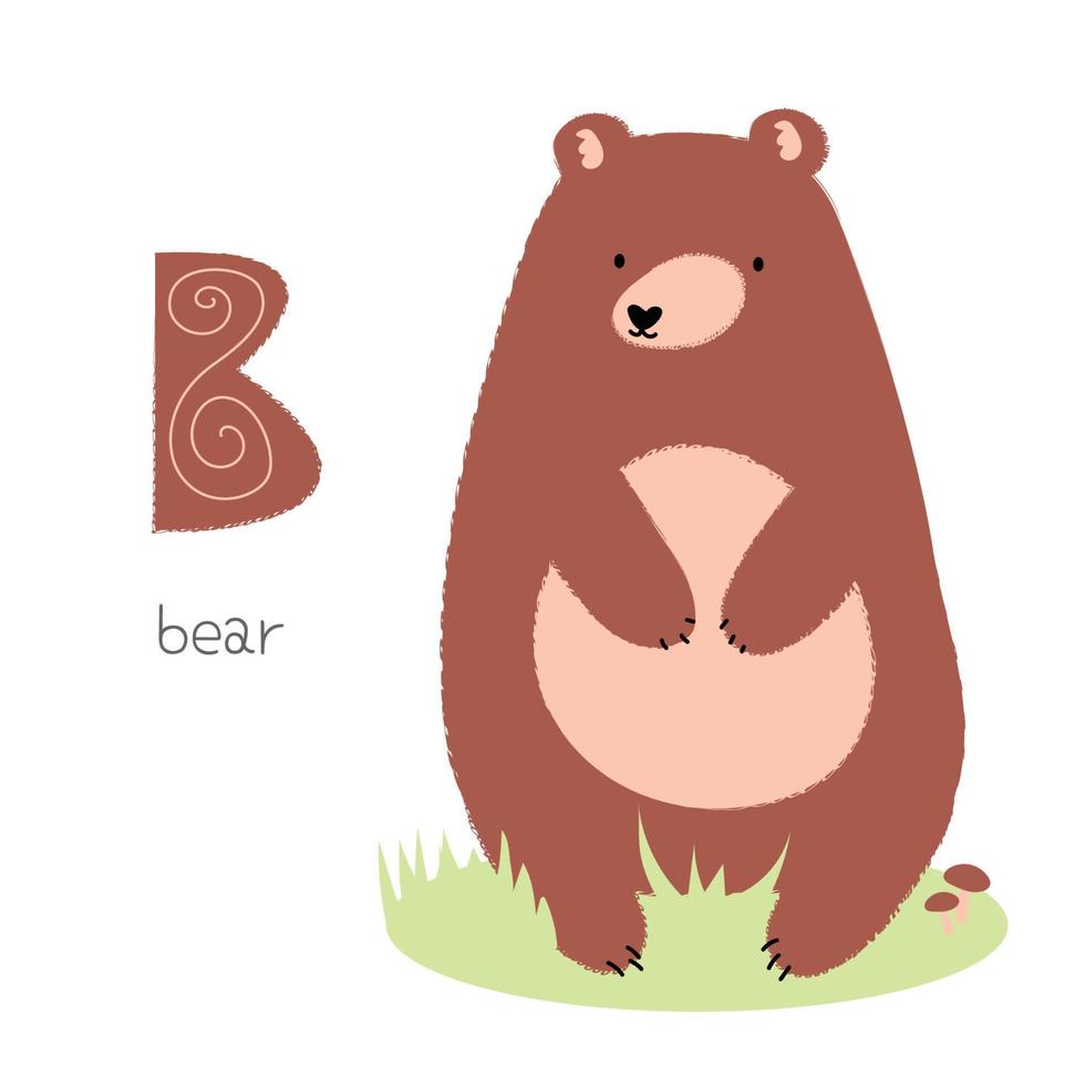 Animals alphabet. B for bear vector