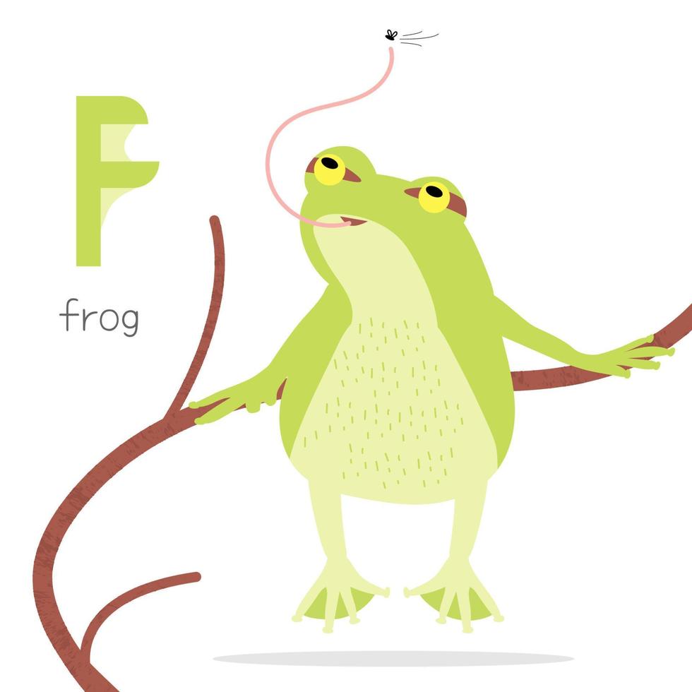 Animals alphabet. F for frog vector