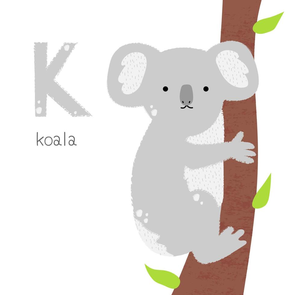 Animals alphabet. K for koala vector