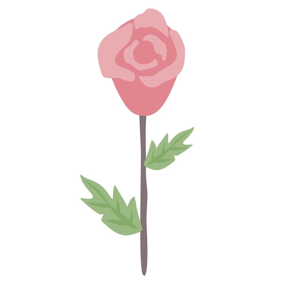 Rose flower flat drawn. vector