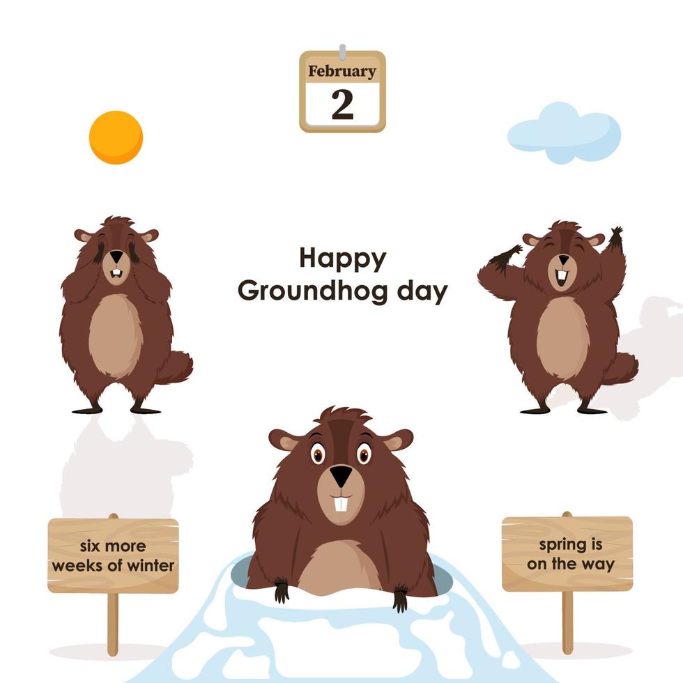 feliz dia de la marmota. diagrama con ilustraciones de marmotas lindas y divertidas. ilustración vectorial vector