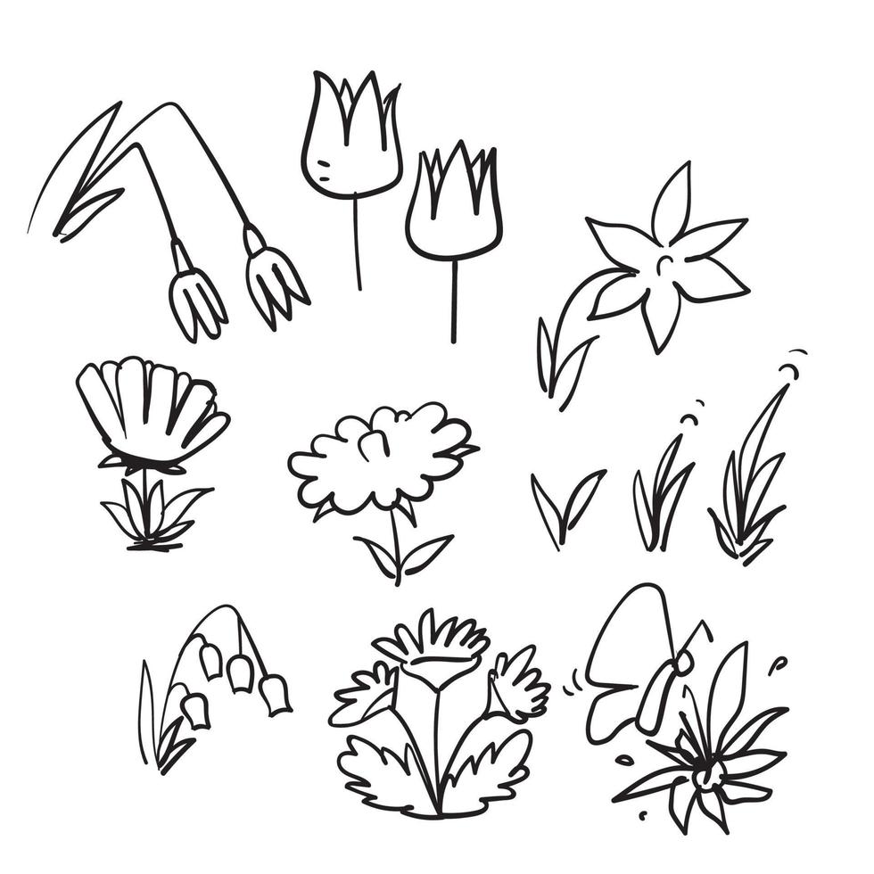 hand drawn doodle spring season plant and flower illustration vector isolated