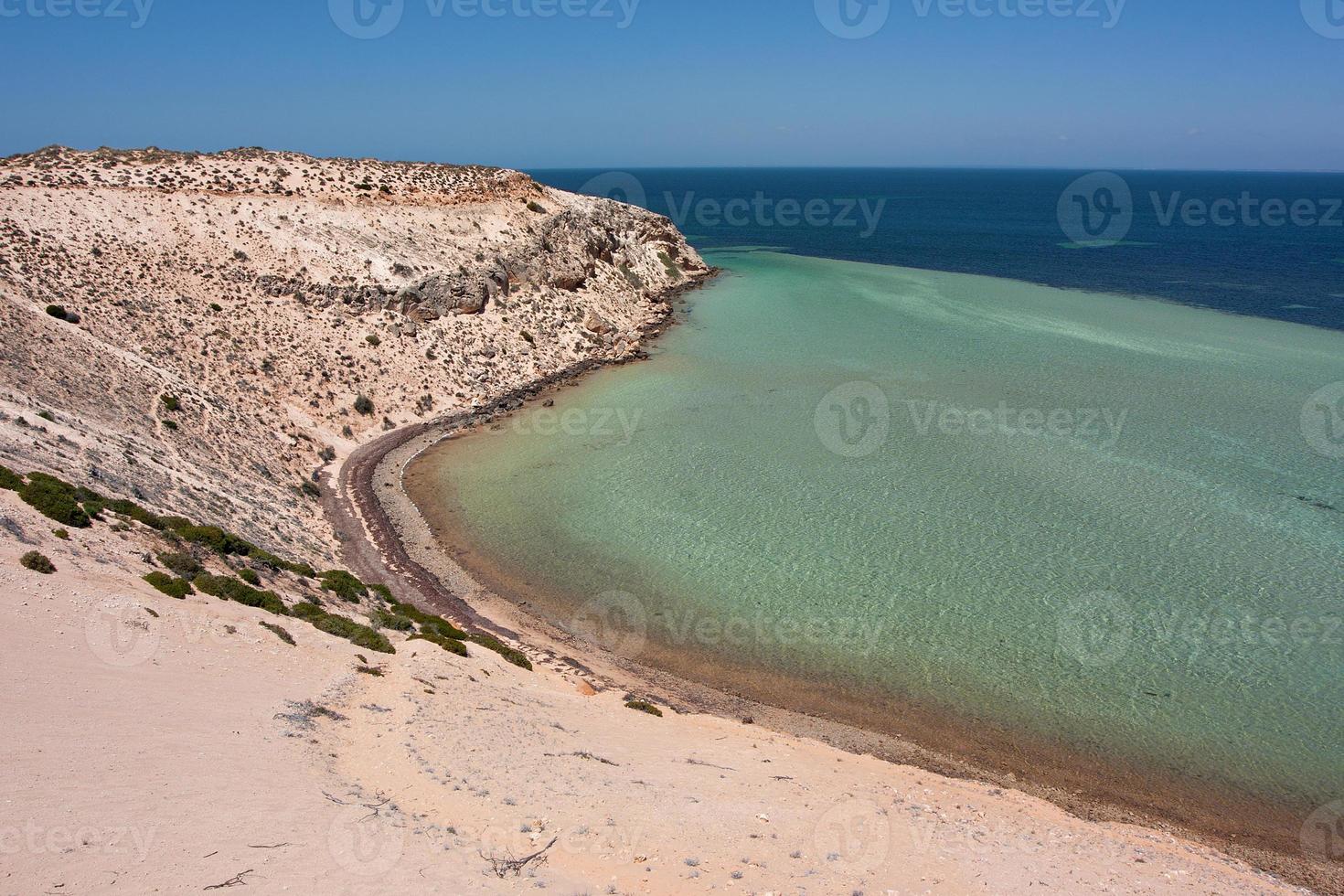 las aguas de abajo son un caldo de cultivo para pequeños tiburones. bahía de tiburones, australia occidental. foto