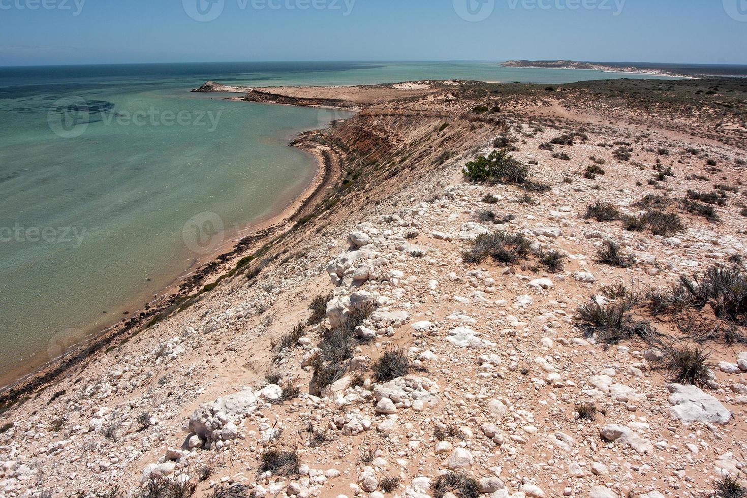 las aguas de abajo son un caldo de cultivo para pequeños tiburones. bahía de tiburones, australia occidental. foto